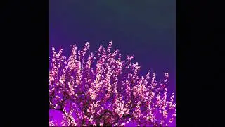 *FREE* Melodic Emotional Type Beat 
