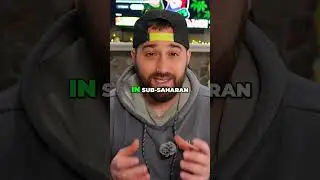 Belly Heat DEBUNKED! Ball Python TRUTH
