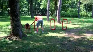 summer scoop 2012