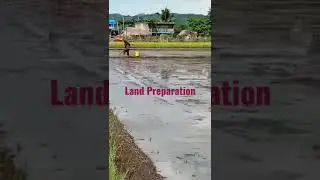Land Preparation of Rice Farming