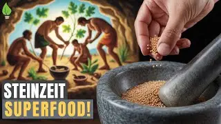 Knoblauchsrauke: Das 5.000 Jahre alte Gewürz wächst direkt am Waldrand!🌿