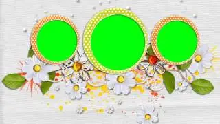 Nice Photo Frame Green Screen Video Free for Editing 2