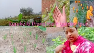 Karake ki thand mein garden tour🤗#daily #garden #daily vlogger Sangeeta 