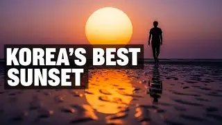 Dadaepo Beach Busan Guide: Best Sunset & Music Fountain Show (2025)