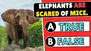 Only 1 in 100 Know the Truth Behind These Animal Myths