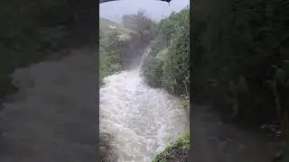 الواد هايج الله يحفظ او صافي