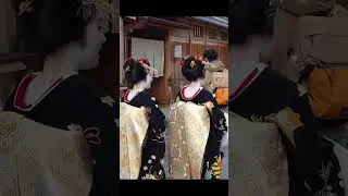 Geisha and Maiko walk in Gion Hanamikoji of Kyoto, Japan #Shorts