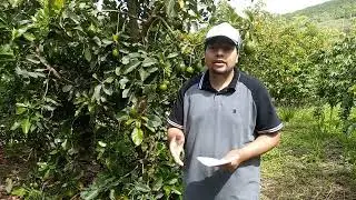 Como faturar até 11.730 reais com este investimento 