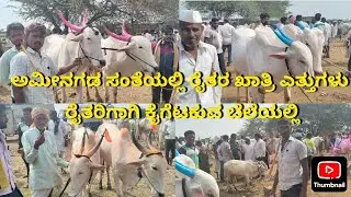 ಅಮೀನಗಡ ಸಂತೆಯಲ್ಲಿ ರೈತರ ಖಾತ್ರಿ ಎತ್ತುಗಳು ಕೈಗೆಟಕುವ ದರದಲ್ಲಿ #Aminagad Cattle Market 29.11.2025 #trending 