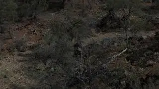 Flinders Ranges Sep 2025