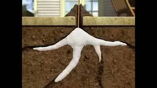 Raid 
