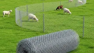 Durable, Rust-Proof STF Fencing &ndash; Perfect Solution har Farm ke Liye!