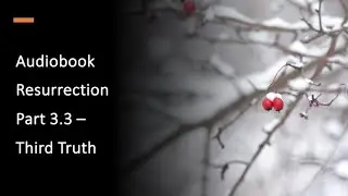 Part 3.3 - Resurrection Audiobook - Third Truth - The Gate of Wisdom and Justice