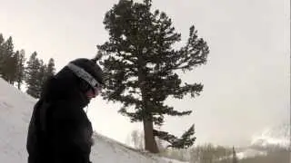 Sterling Express skier's left