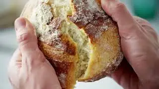 Gonnella - A Tradition of Excellence