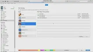 Transfer Simulations to iPad