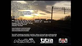 08. Norm ZS - BitSkit ( Bit Elem )
