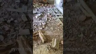 азан... бригада на 100 лайков.. помогли снять: @v1a14 @invisible_52