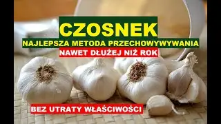 CZOSNEK - NAJLEPSZA METODA PRZECHOWYWANIA