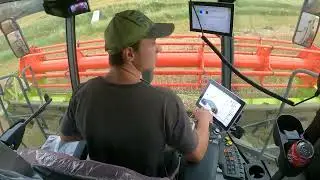 DEL 1 - Direkte Fra Mejetærsker kabinen | Høst af Lupiner / Vår Hvede | Claas Lexion 6800 | KLF