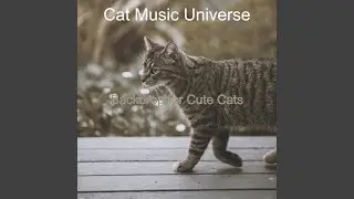 Background for Cute Cats