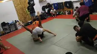 Bjj 7/01/26