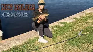 Mastering Small Snook and Redfish Techniques with the New NLBN Color!