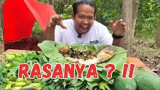 👉 Cuma dari Hutan, Tapi Rasanya Gak Masuk Akal!