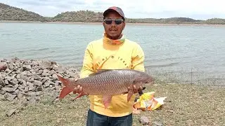 Rohu fish hunting on feeder bait Long run | reel | fishing videos | monster size fishing 🎣