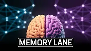 🧠 Роль гиппокампа и миндалевидного тела в обучении и памяти