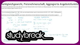 Marktgleichgewicht, Preisnehmerschaft, Aggregierte Angebotsfunktion | Preistheorie