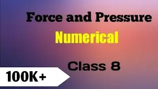 Force and Pressure Numerical Problems|Class 8|The Numerical