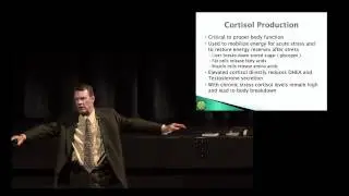True Balance - Dr. Ron Brown: Adrenal Fatigue Part 03 - Cortisol Production