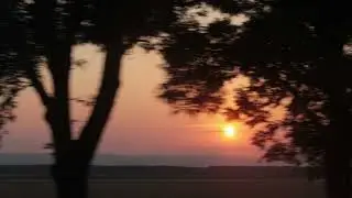 Vince Van Gogh - Daniel Caesar (Acoustic Version) (Lyric Video)