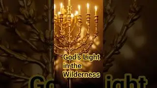 The Ark Mercy Seat and Golden Lampstand Meaning Exodus37 #Bible #TorahStudy #Tabernacle #Menorah