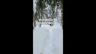 Your Winter Bucket List | Explore Canmore Kananaskis