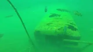 Best Scuba Diving in Ohio - Gilboa Quarry