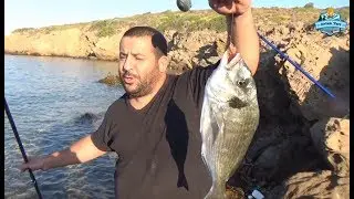 Takoz Çupra Burada.!! Yepyeni Bir Merada Balıktayız - 27 Ağustos 2017