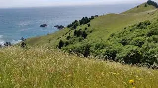 Cascade head trail, Oregon