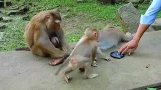 keep warm up babies most in chest