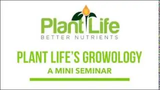 Phosphite Seminar
