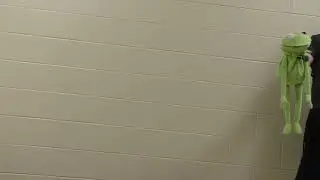 KERMIT THE FROG INTERVIEW GONE WRONG!!!