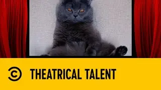 Theatrical Talent | Most Ridiculous Dogs | Comedy Central Africa