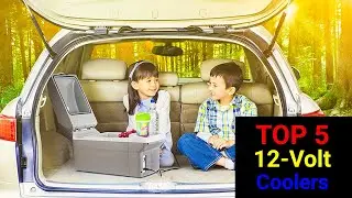 Best 12 Volt Coolers Reviews [TOP 5 PICKS]