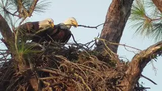 SWFL Eagles_ Breakfast For Two At N2 & Stick Wars At N1 09.14.22