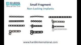 Small Fragment Non Locking Implants