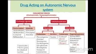 Classification of cholinergic and anticholinergic drugs💊💊💊