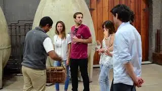 Tour Bodega Vi&ntilde;a Viu Manent