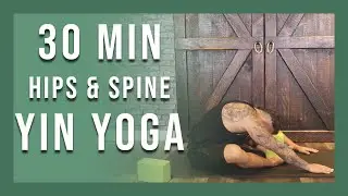 30 min Yin Yoga for Hips and Spine | Yin Yoga for Better Health