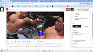 How to Write Meta Description for Blog Post II How to Write Meta Description for SEO